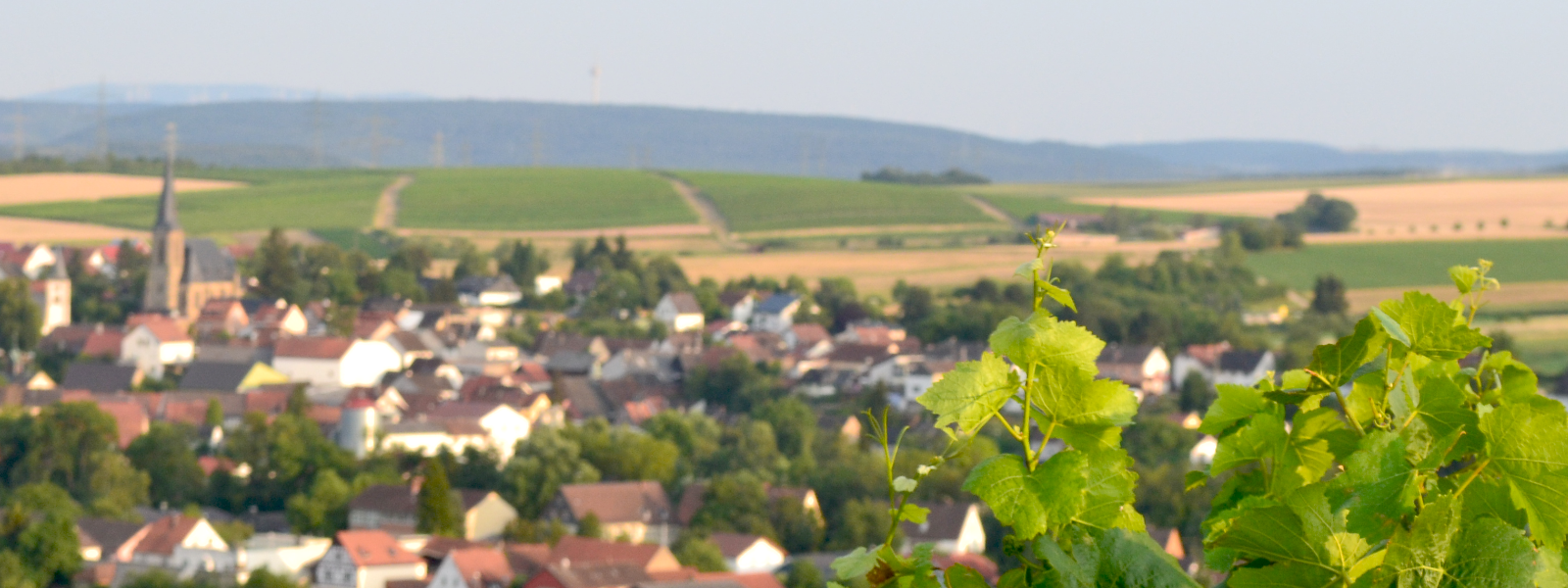 Herzlich Willkommen